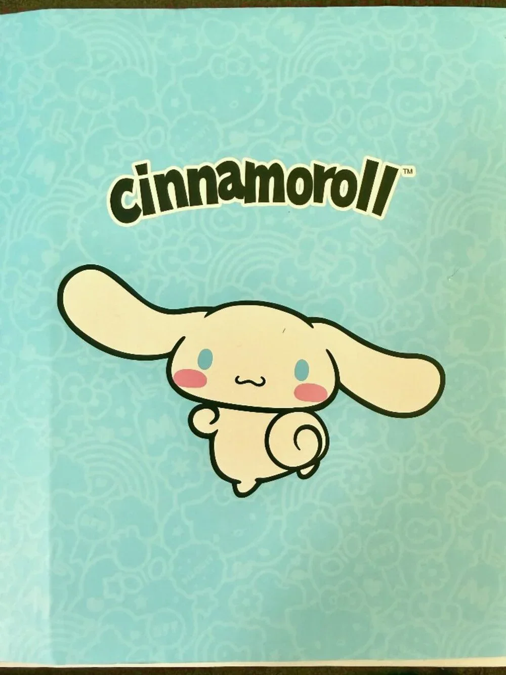 Cinnamoroll Remote Control Rollerskate Sanrio Hello Kitty and Friends RC NEW Box